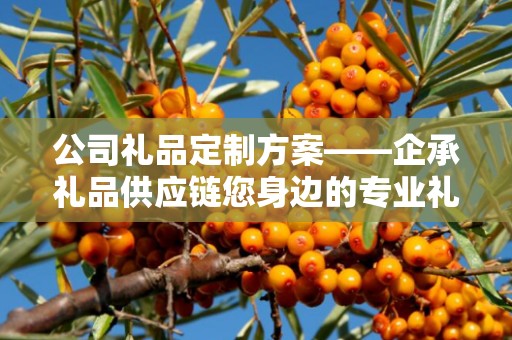 公司礼品定制方案——企承礼品供应链您身边的专业礼品定制公司
